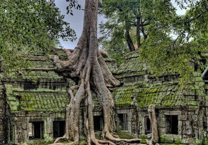 pexels-james-wheeler-1534057