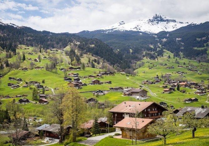 pexels-tranmautritam-922978